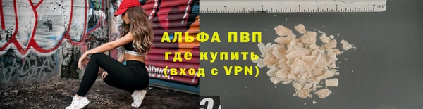 твердый Абаза