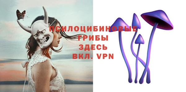 ешки Гусев