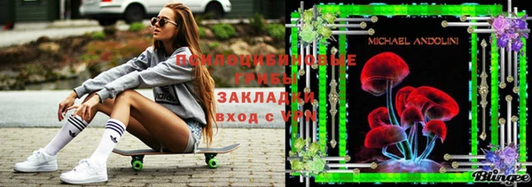 jwh Алзамай