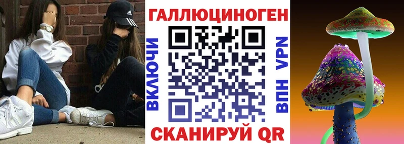 Псилоцибиновые грибы Psilocybe  Ялта 